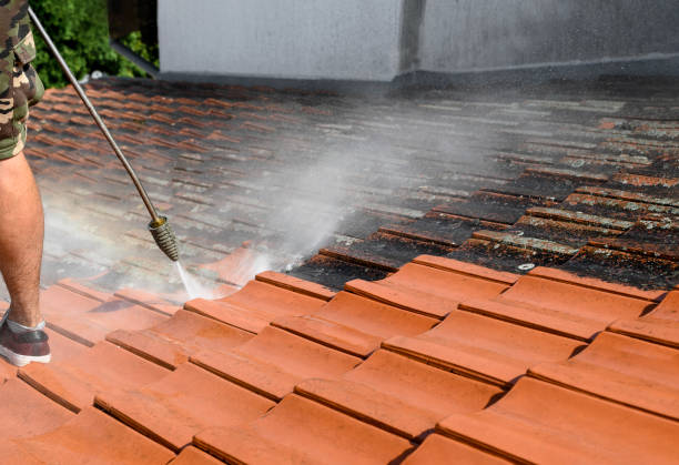 Best Concrete Pressure Washing  in Steilacoom, WA