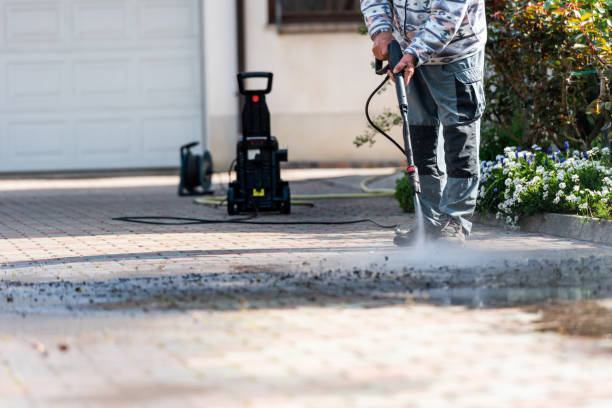 Best Best Pressure Washing Companies  in Steilacoom, WA