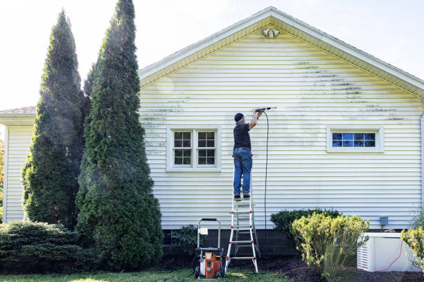 Professional Pressure Washing in Steilacoom, WA