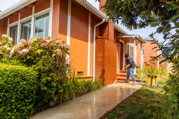 Best Deck Cleaning Services  in Steilacoom, WA