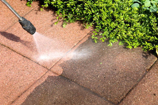 Best Local Pressure Washing Services  in Steilacoom, WA